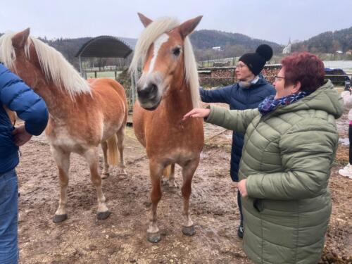 Ekskurzija na Koroško