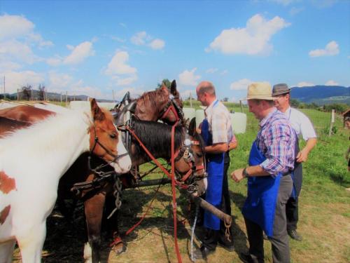 Kmečki praznik v Moravčah 2018