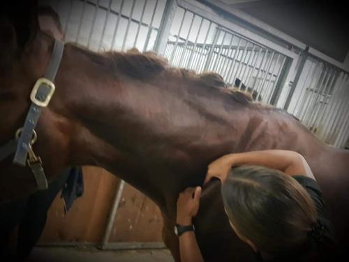 FB_IMG_1602698490949