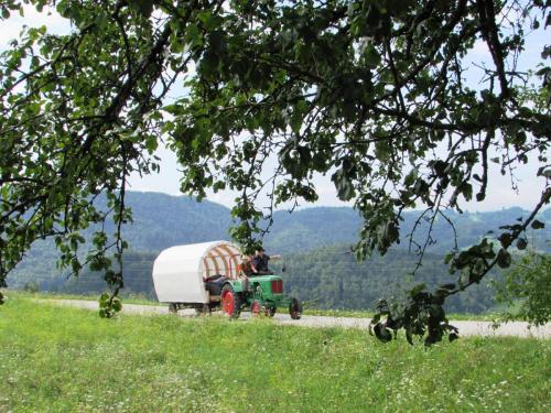 Poletna konjenica KD Lukovica na Čemšeniško planino